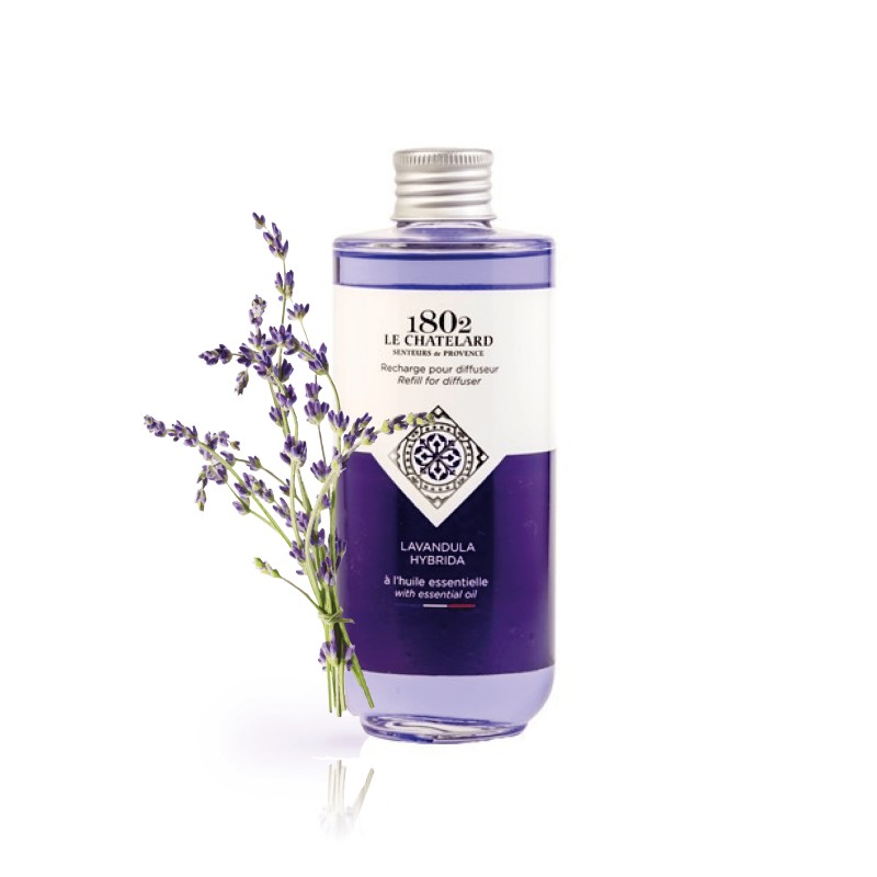 Recharge Diffuseur de Parfum Lavande - Lavandula hybrida