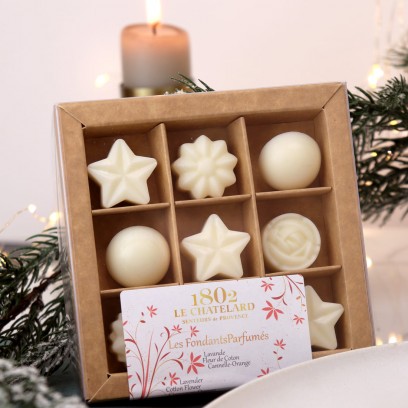 Gift Box 9 Scented wax melts