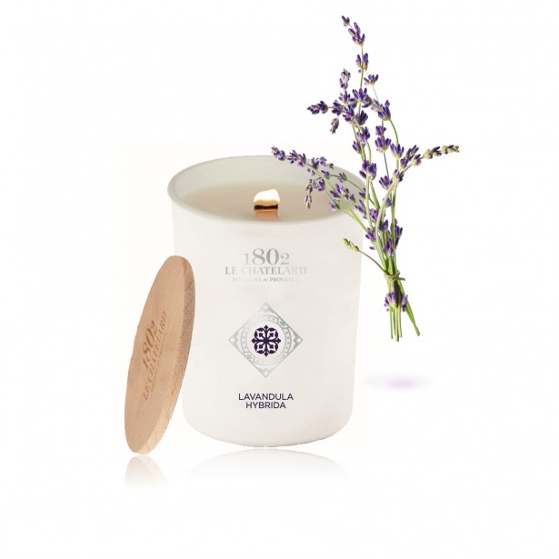 Bougie Parfumée Lavandula Hybrida
