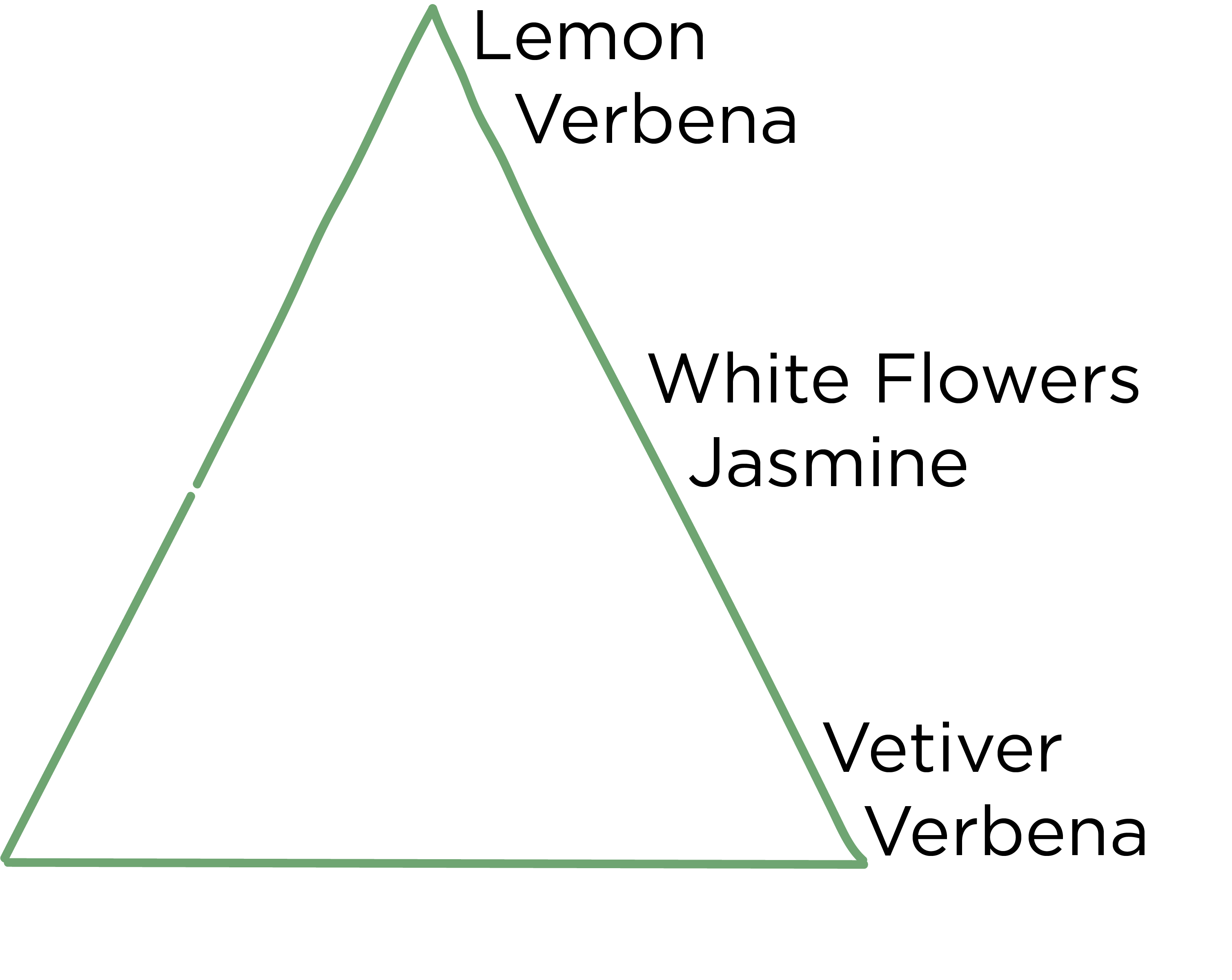 pyramide olfactive rose en.png