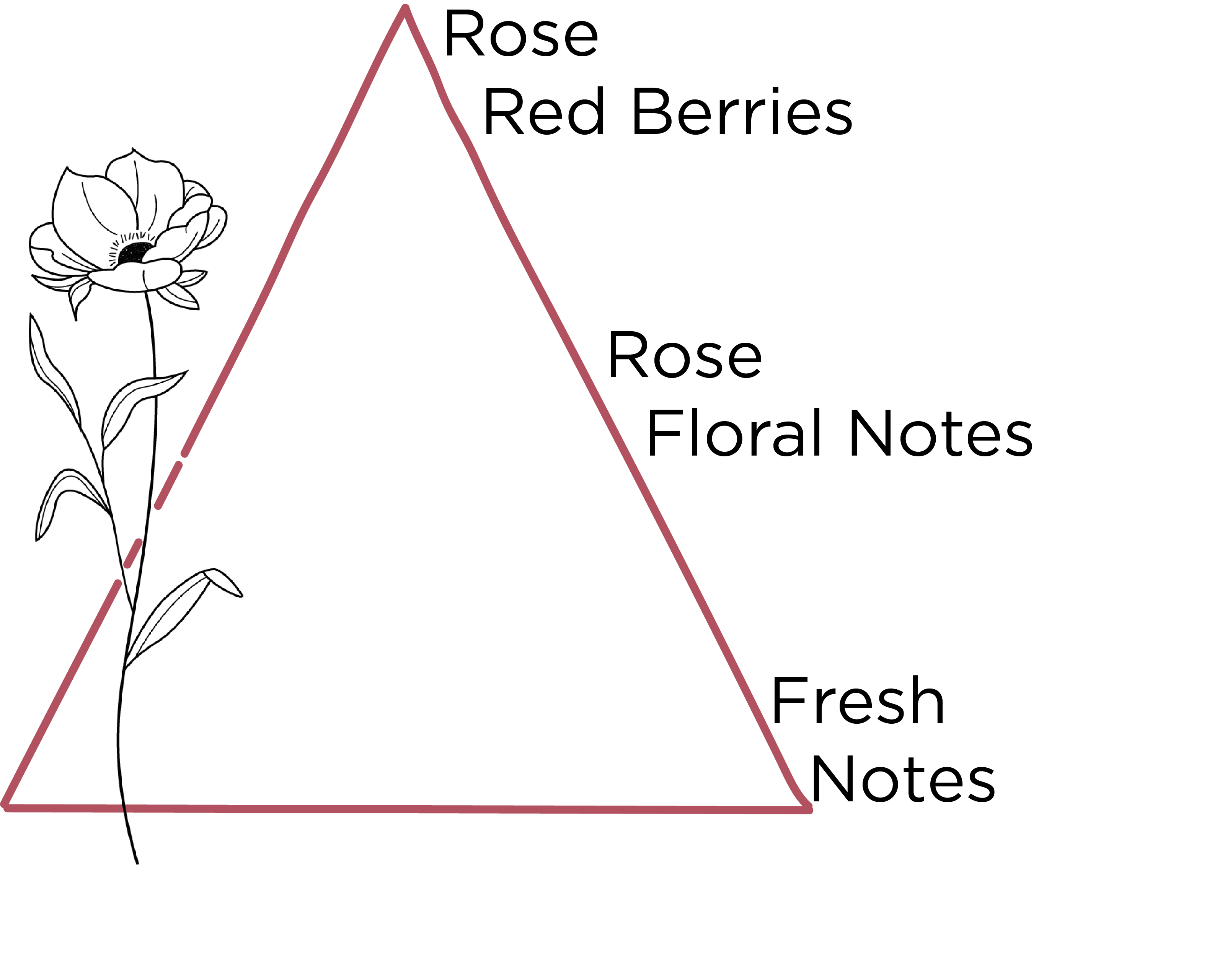 pyramide olfactive rose en.png