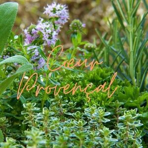 🌱 COEUR PROVENCAL 🌱
#nouveauté #new #homefragrance #senteursdeprovence #madeinprovence #madeinfrance #lavender #lavande #thym #thyme